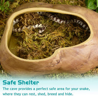 Antidious Snake Hide Cave for Gecko Shedding - Large - image 3
