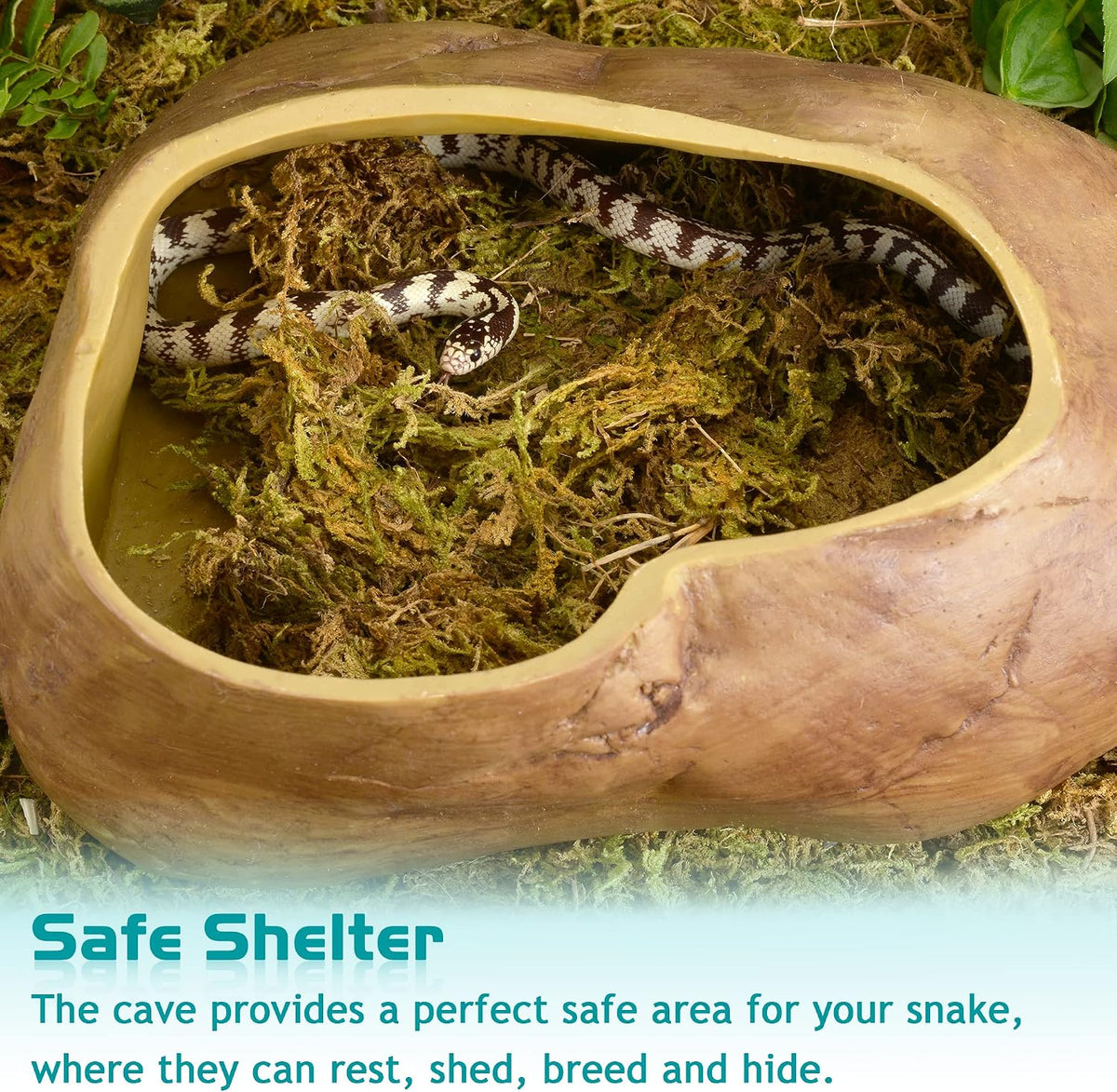 Antidious Snake Hide Cave for Gecko Shedding - Large - image 3