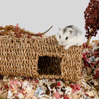 Niteangel Creative & Composable Hamster Tunnel: Edible Water Hyacinth - HC - image 4
