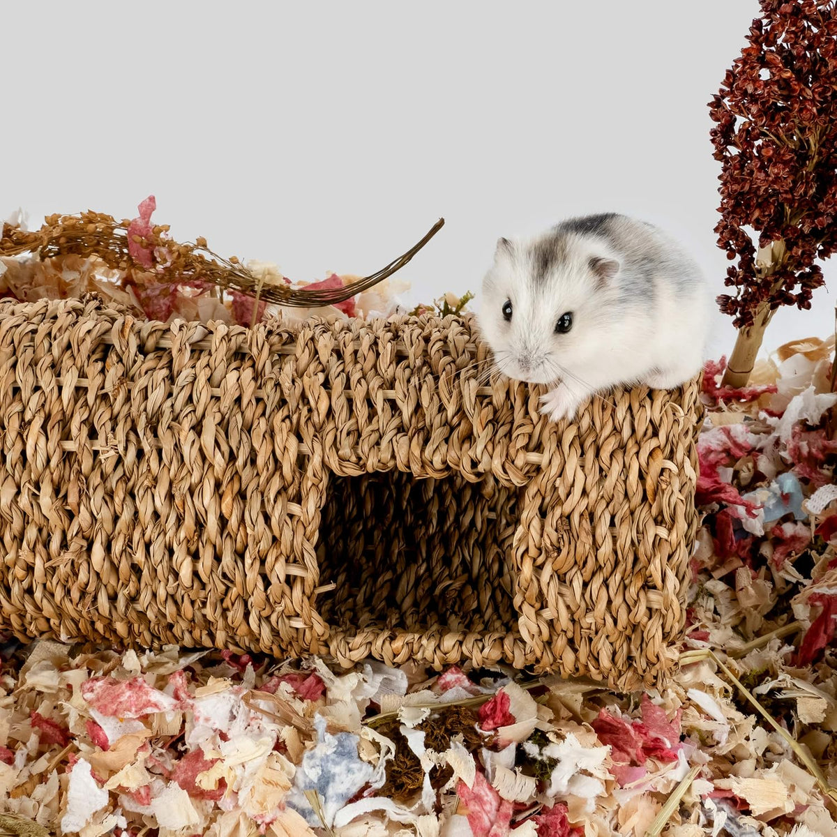 Niteangel Creative & Composable Hamster Tunnel: Edible Water Hyacinth - HC - image 4