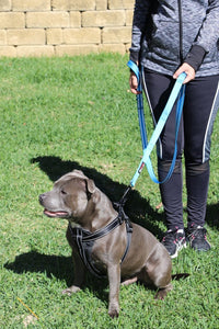 Dog Leash 6ft Long, Traffic Padded Two Handle, Heavy Duty - 6FT / Blue - image 4