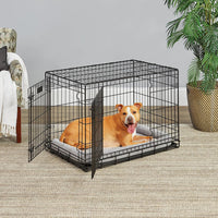 LifeStages by MidWest 36-Inch Double Door Crate, M-L Breeds - Double Door / Fits 36-inch Crate - image 2