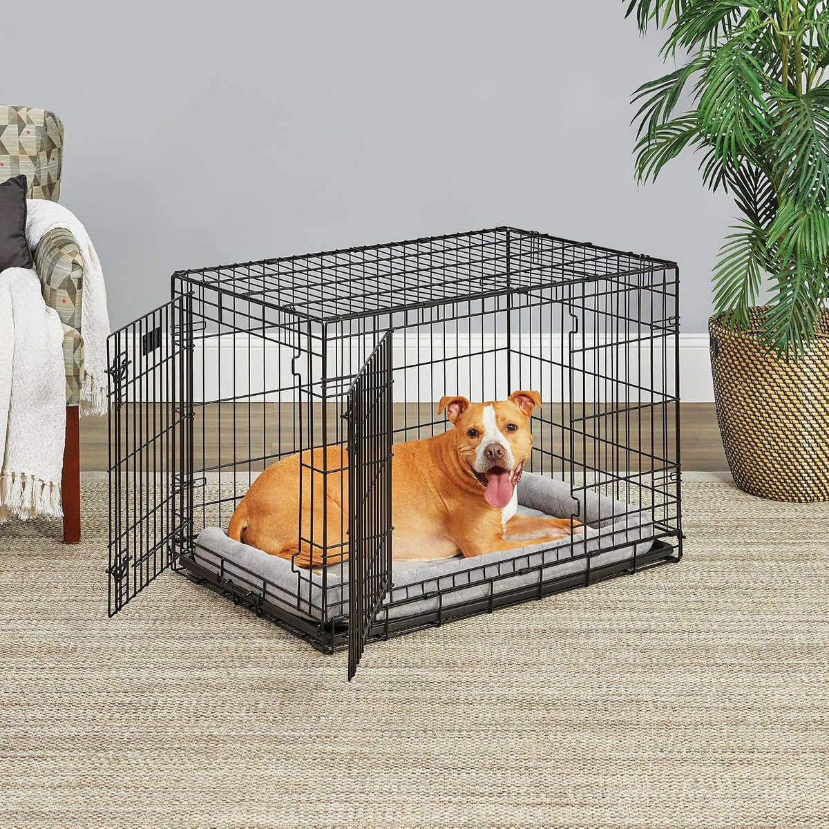 LifeStages by MidWest 36-Inch Double Door Crate, M-L Breeds - Double Door / Fits 36-inch Crate - image 2