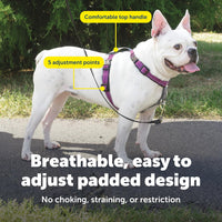 PetSafe 3 in 1 No-Pull Dog Harness, Walk, Train or Travel - Plum / Small (Pack of 1) - image 4