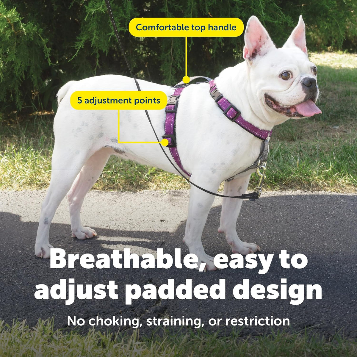 PetSafe 3 in 1 No-Pull Dog Harness, Walk, Train or Travel - Plum / Small (Pack of 1) - image 4
