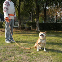 ZALER Long Dog Leash, 50 feet 30ft 20ft 15ft 10ft Dog Training Lead, Heavy Duty Reflective Check - Black Purple / 15FT*2/5" - image 4