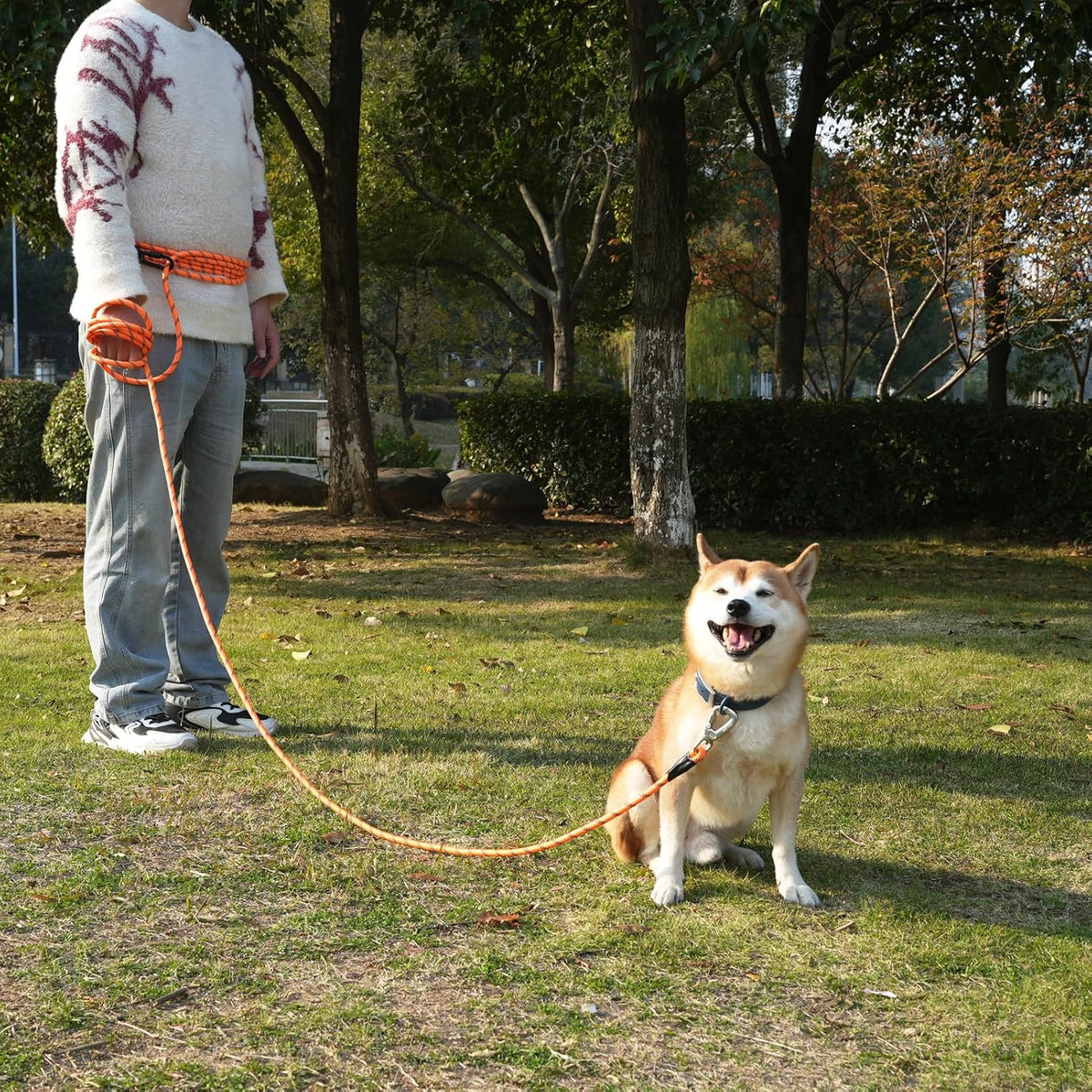 ZALER Long Dog Leash, 50 feet 30ft 20ft 15ft 10ft Dog Training Lead, Heavy Duty Reflective Check - Black Purple / 15FT*2/5" - image 4