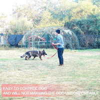 Dog/Puppy Obedience Recall Training Agility Lead, Great for Play - Pink / 20 Feet - image 3