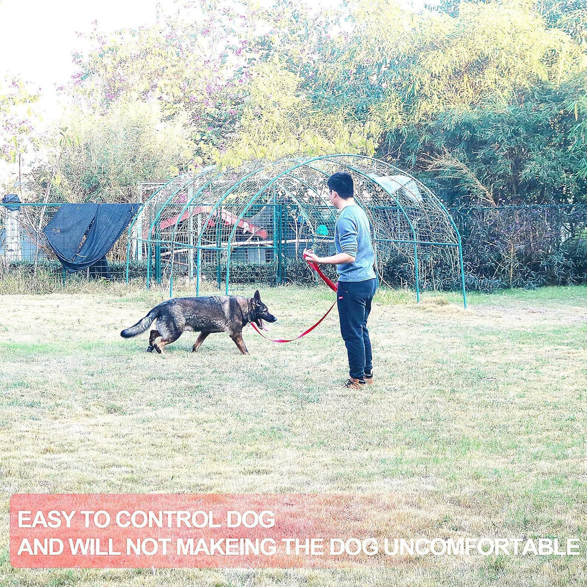 Dog/Puppy Obedience Recall Training Agility Lead, Great for Play - Pink / 20 Feet - image 3