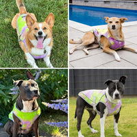 Spark Paws Dog Cooling Vest, Evaporative Summer Cooling - Neon Purple / Large - image 4