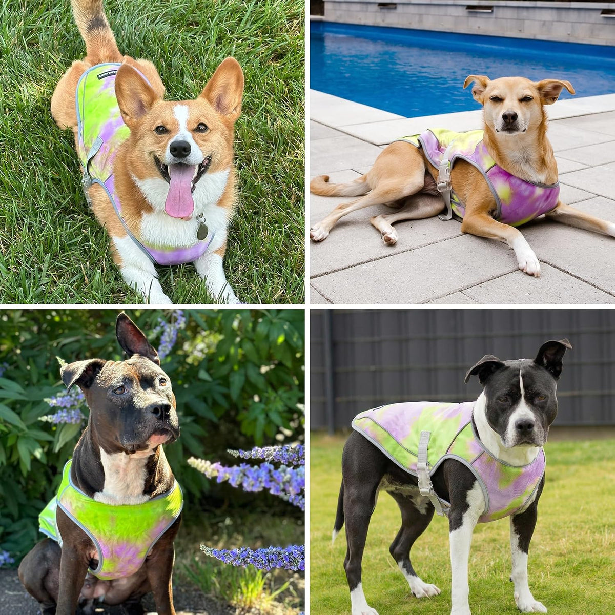 Spark Paws Dog Cooling Vest, Evaporative Summer Cooling - Neon Purple / Large - image 4