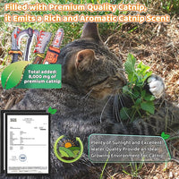 Cat Toys [8000mg Premium Catnip] Cartoon Colorful Style Horror Funny Knife Catnip Cat Toys Durable Rattle Sound Toy for All Cat Breeds Indoor Interactive Kitten Toys Get Bored Cats Active 4 PCS
