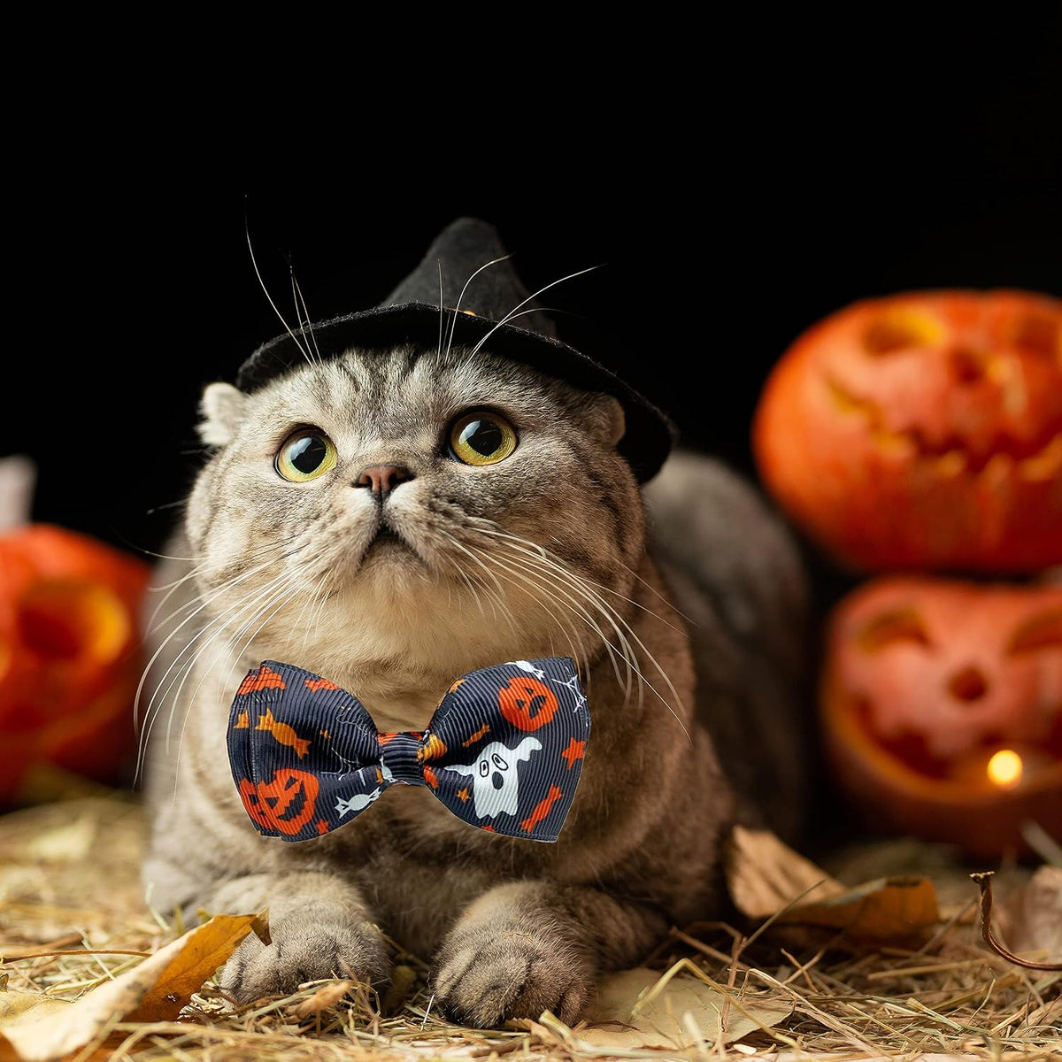 2 Pack Halloween Cat Collars with Bells, Breakaway - Jack-O-Lantern/Trick or Treat - image 4