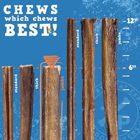 Jack&Pup 6-inch Pizzle Sticks for Dogs (3 Pack) All Natural Jumbo Bully Sticks | Single Ingredient, Long Lasting Bully Sticks for Medium Dogs