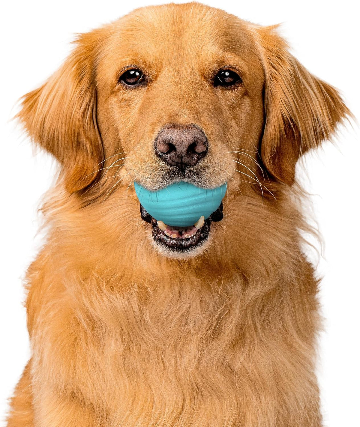 Playology Durable Large Dual Layer Dog Ball, Peanut Butter Scent - Jumbo / Peanut Butter - image 2