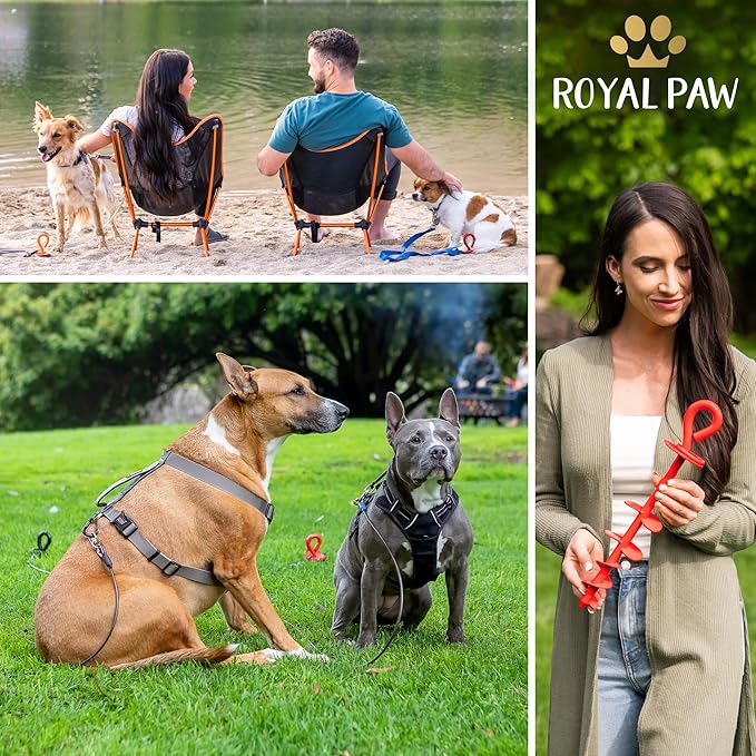ROYAL-PAW Dog Tie Out Stake - for Large Dogs up to 210 lbs - Heavy Duty Dog Stake for Yard, Beach & Camping Outside - Best in Ground Anchor for a Dog Cable, Leash, Lead Tether (1, Crimson Red)