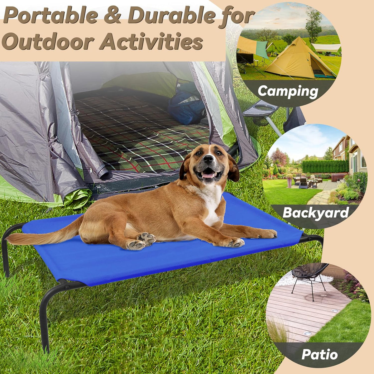 Raised Pet Cot for Small Pets – Essentials for Dogs - Medium / Blue - image 3