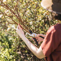 Fiskars Bypass Pruning Shears, 5/8-Inch Cut Capacity Garden Clippers, Gardening Scissors with Sharp, Rust Resistant Steel Blade