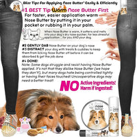 The Blissful Dog Shetland Sheepdog Nose Butter for Dry, Cracked Skin, Lick-Safe Dog Nose Balm with Moisturizing Shea Butter, Almond, Olive, and Essential Oils, Pet Supplies, Uncented, 8 oz.