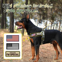 Forestpaw No Pull Dog Harness - Soft Flannel Padded Tactical Dog Vest Harness with Quick Release Buckle, Adjustable Reflective Pet Harness for Large Dogs Walking Training,Green Camouflage XL
