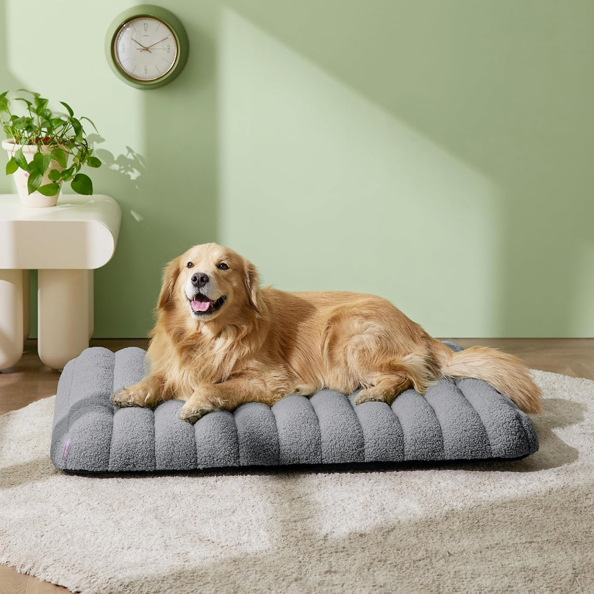 LE SURE Cute Orthopedic Dog Bed Large Sized Dog, Flat Pet Mat - 44"L x 32"W x 4"Th / Grey - image 2