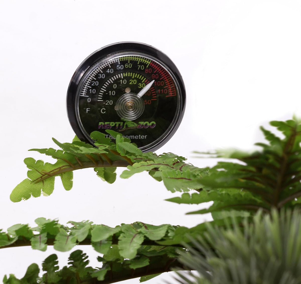 REPTI ZOO Reptile Terrarium Thermometer - image 4