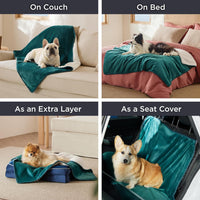 Bedsure Waterproof Dog Blankets for Small Dogs Soft Cat Blanket Warm - Queen(86x90") / Green - image 2