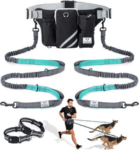 SHINE HAI Retractable Hands Free Dog Leash with Dual Bungees for 2 - Blue/Black / For 2 Dog