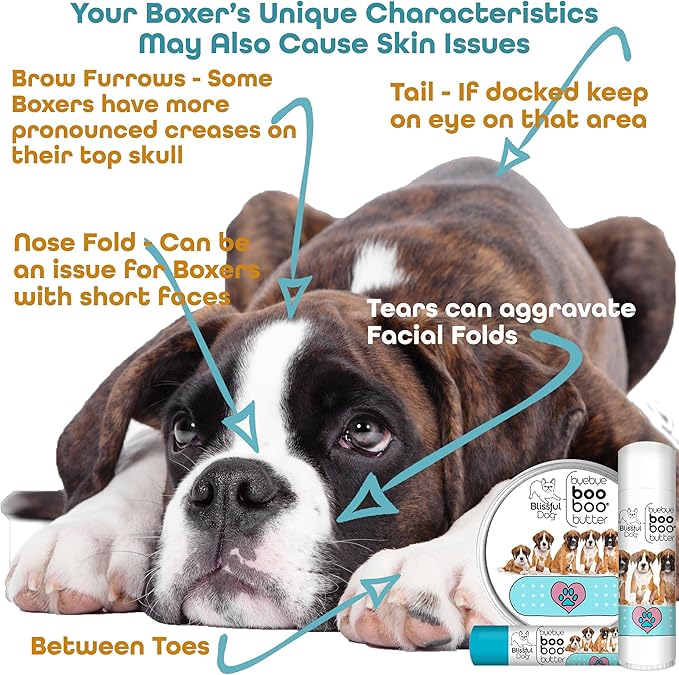 The Blissful Dog .50 oz Tube Boxer Booboo Butter