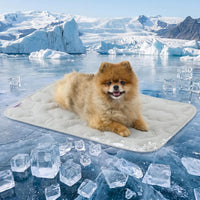 LE SURE ApexCloud QMAX>0.5 Breathable Dog Cooling Mat for Large Dog - 24" x 18" (Small) / Grey