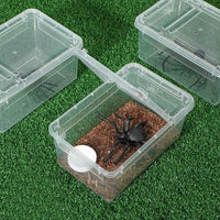 Irenare 8 Pcs Reptile Breeding Breeding Box Plastic Spider Terrarium Tarantula Feeding Box for Bearded Dragon Lizard Spider Gecko Scorpion (Vent Strips,5.9 x 3.9 x 2.5 Inch)