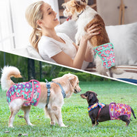 Langsprit Washable Female Dog Diapers - Large / Spring Flowers - image 2
