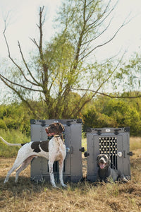 K9 Kennel Boss Aluminum Collapsible Dog Crate - Gray / 41.6"L x 29.7"W x 33.9"H - image 3
