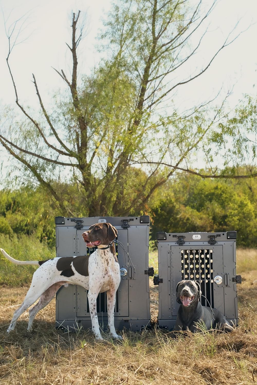 K9 Kennel Boss Aluminum Collapsible Dog Crate - Gray / 41.6"L x 29.7"W x 33.9"H - image 3
