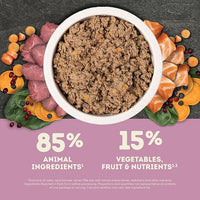 ACANA Premium Pate in Bone Broth Grain-free Wet Dog Food Lamb Recipe 12.8oz Cans (12 Count)