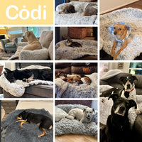 Codi Dog Couch Bed, Sofa Cover Mat - 41.0"L x 37.0"W x 6.0"Th / Light Grey - image 2