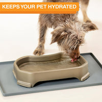 Neater Pet Brands Extra Large Water Bowl for Dogs - 8 Cups / Champagne - image 4
