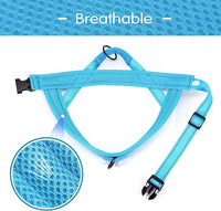 Didog No Pull Dog Harness with Soft Mesh Padded,Reflective & Quick Fit Light Weight Dog Strap Vest Harness,Easy for Walking Training (S:Chest 18-22", Mesh-Blue)