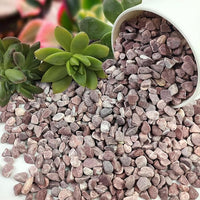 10 lbs Pebbles for Plants, 3/8 Inch Pea Gravel Stones Decorative Red River Rocks for Succulent, Cactus, Landscaping, Vases, Terrarium, Aquarium, Potted Top Dressing and Outdoor Garden