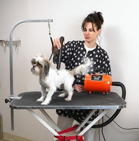 METROVAC AFTD-3: Air Force Commander 2-Speed Dryer - Pink | 4.0 HP | Professional Pet Grooming Blower | Made in USA
