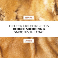 Wahl Premium Patented Dual Level Sensitive Skin Pet Slicker – Ergonomic handle makes Deshedding, Grooming and Brushing Comfortable for you and your Dog or Cat - 858500