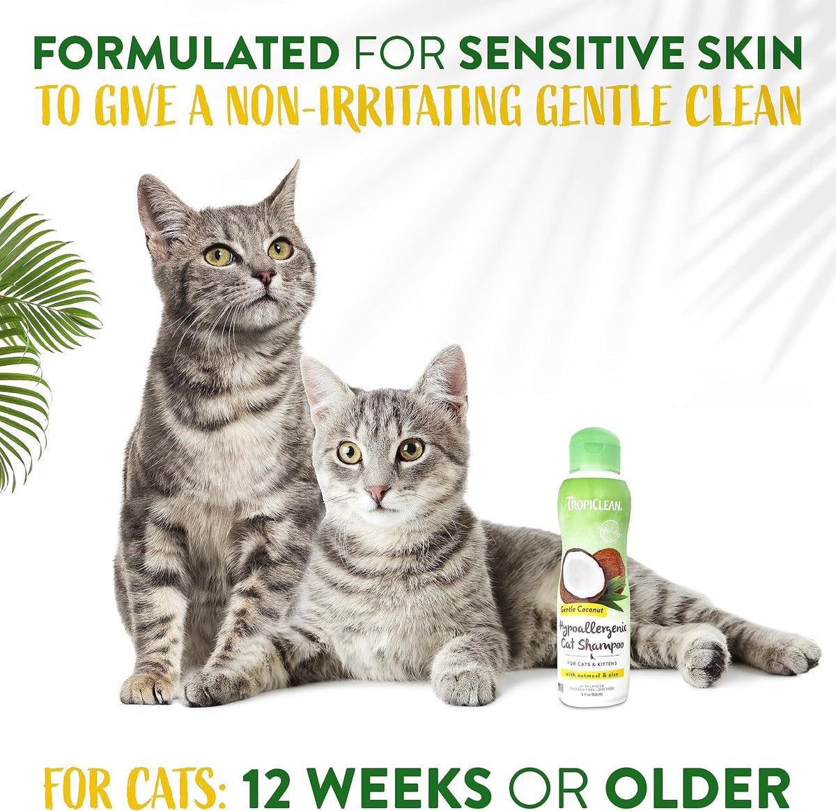 TropiClean Gentle Kitten & Cat Shampoo - image 4