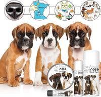The Blissful Dog Boxer Duo Unscented Nose Butter, 8-Ounce