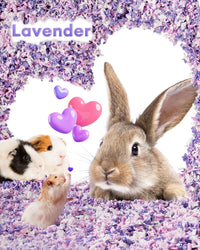 BUCATSTATE Hamster Bedding 15L, 99% Dust-Free Paper Bedding - Lavender / 70L - image 3