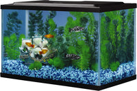 Tetra 5.5 Gallon Glass Aquarium, Rectangular Fish Tank – Essentials for Fish - 5.5 gallons - image 3