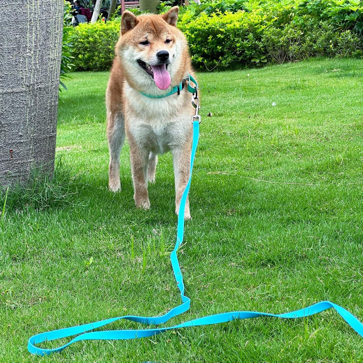 Waterproof Long Leash Durable Dog Recall Training Lead Great - Sky Blue / 30ft - image 3