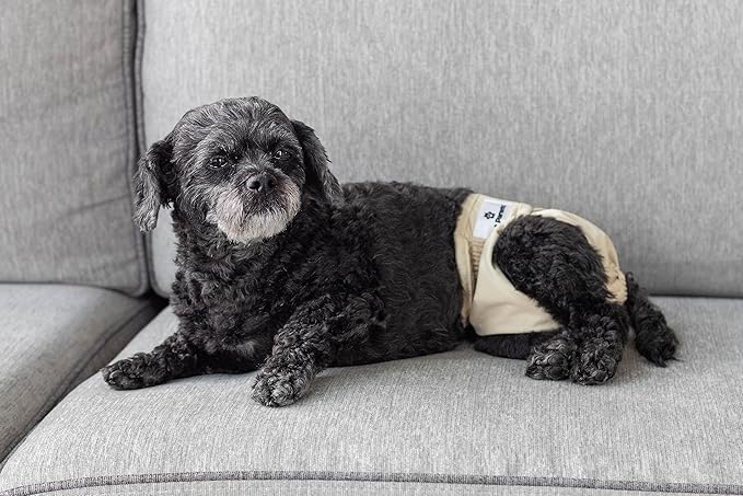 Pet Parents® Washable Dog Diapers (3pack) + Extendrs® of Durable Doggie Diapers, Premium Dog Diapers Female (Medium, Spruce)