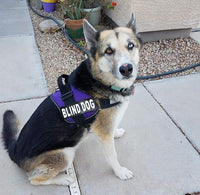 Doggie Stylz Blind Dog Harness No Pull No Escape Dog Vest for Blind Dogs Adjustable Vest with Handle Blind Dog Accessories and Patches for Training and Mobility