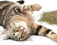 Petlinks HappyNip Catnip & Silvervine Blend for Cats & Kittens, Highly Potent Stimulant/Attractant, Great for Finicky Felines, Resealable Pouch - 2.0 oz