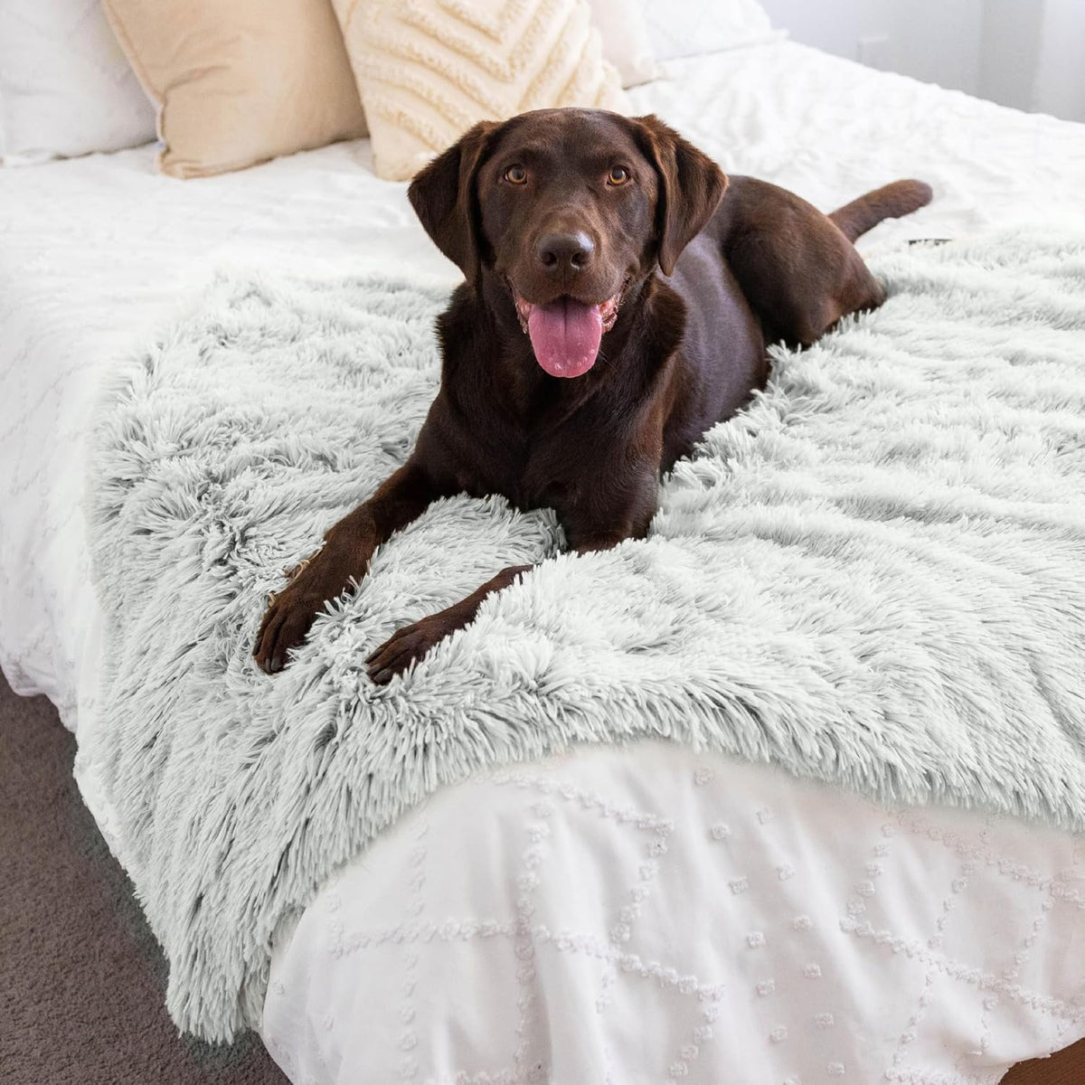 Best Friends by Sheri Dog Blanket, Shag Faux Fur - Frost / 40" x 50" - image 2